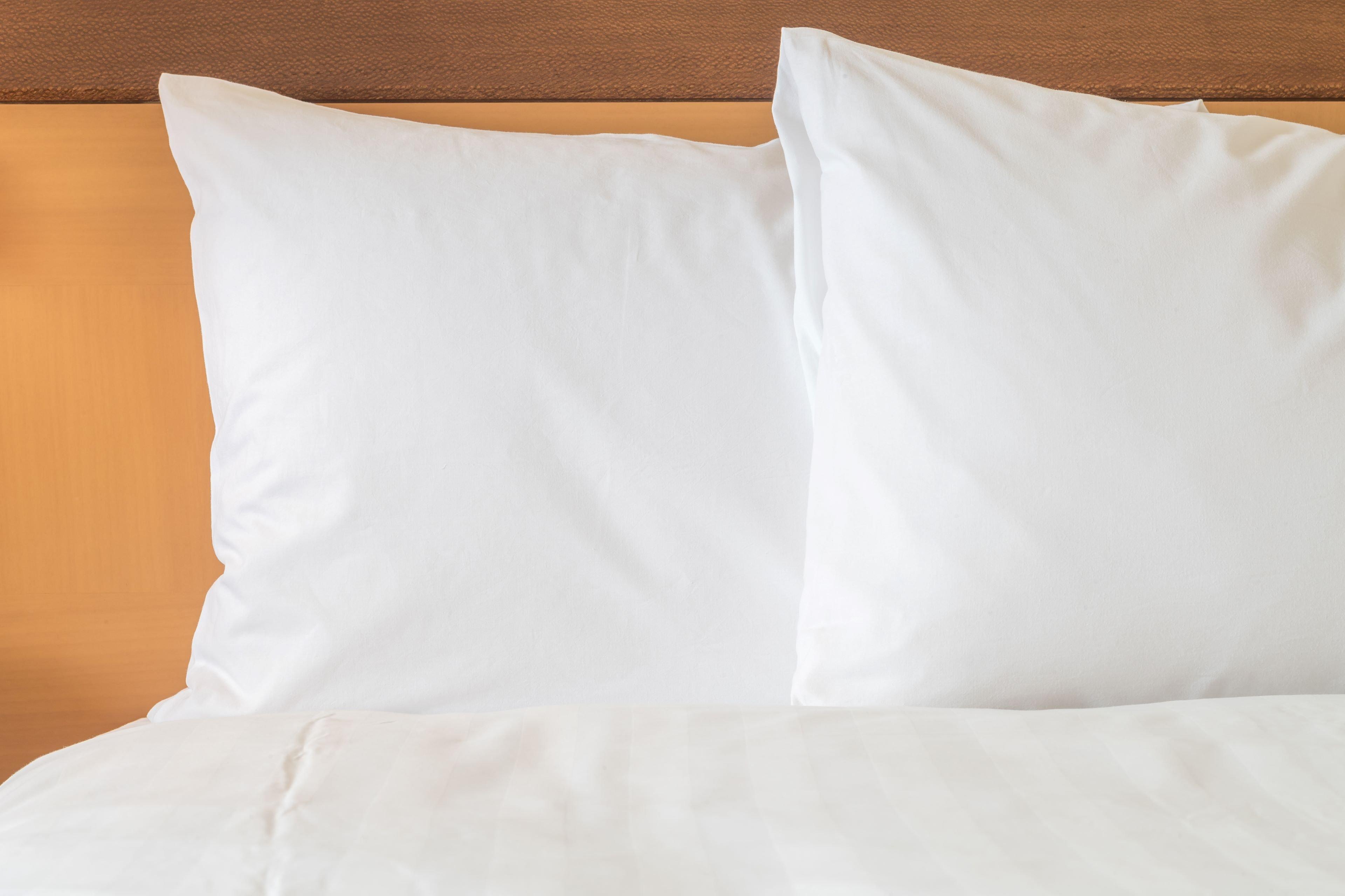 Holiday Inn Express Hotel & Suites Clearwater Us 19 North By Ihg Exteriör bild
